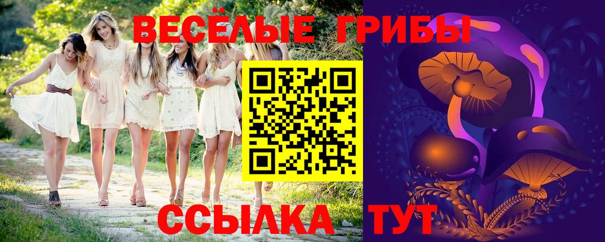 Магнитогорск  Псилоцибиновые грибы Cubensis  Вход с VPN  Галлюциногенные грибы Psilocybine cubensis 